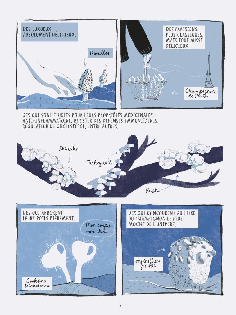 Planche 11